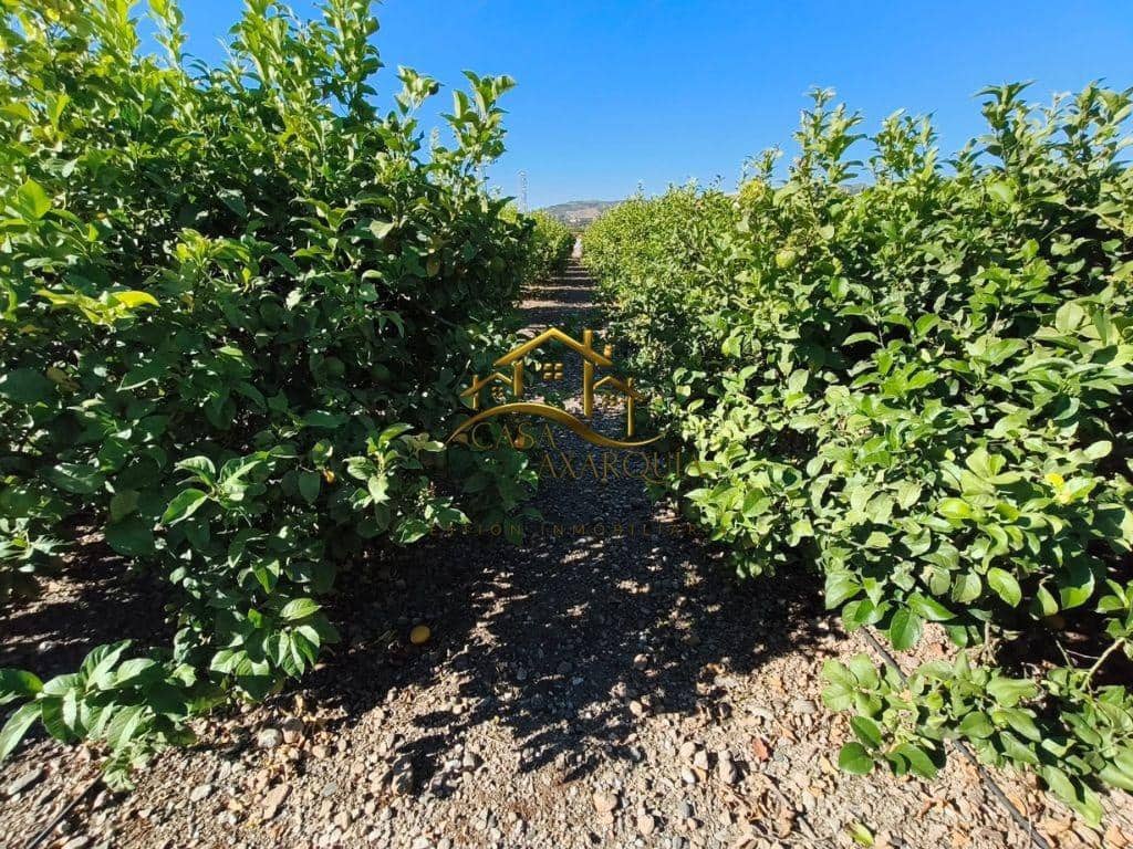 Terreno/Finca Rústica en Benamocarra en venta - 149.900 € (Ref: 9879008)