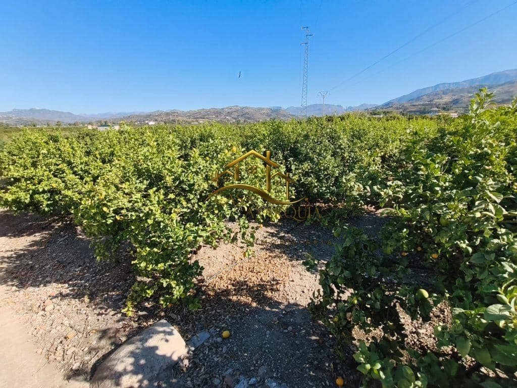 Terreno/Finca Rústica en Benamocarra en venta - 149.900 € (Ref: 9879008)