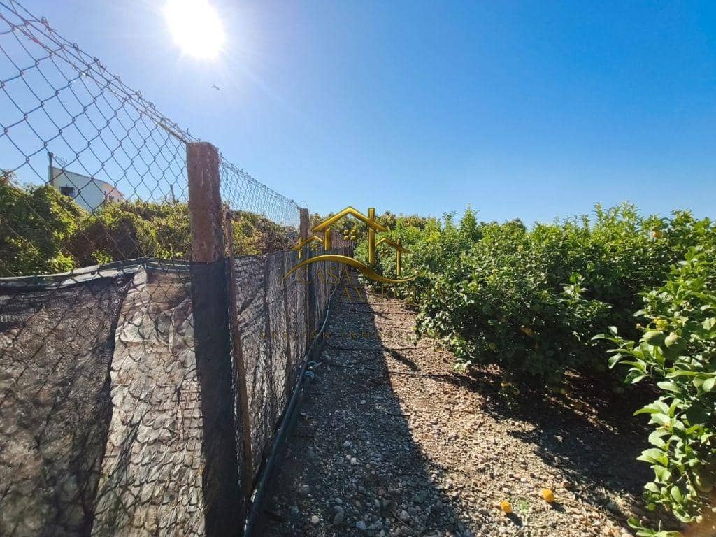 Terreno/Finca Rústica en Benamocarra en venta - 149.900 € (Ref: 9879008)