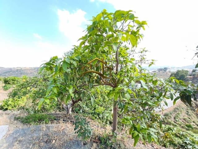 3 chambre Finca/Maison de Campagne à vendre à Almáchar - 255 000 € (Ref: 9890558)