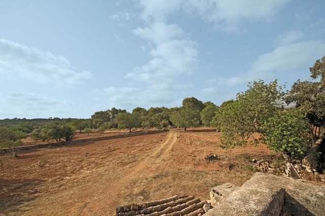 2 Zimmer Finca/Landgut zu verkaufen in Campos mit Garage - 1.250.000 € (Ref: 10136297)
