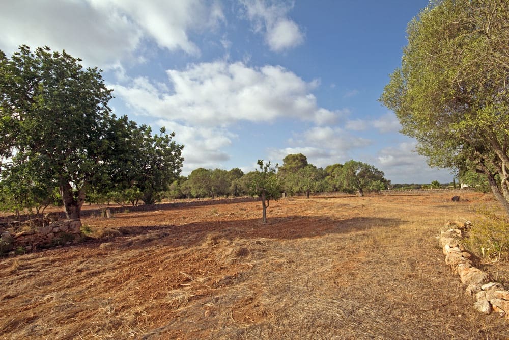 2 soveværelse Finca/Landehus til salg i Campos med garage - € 1.250.000 (Ref: 10136297)