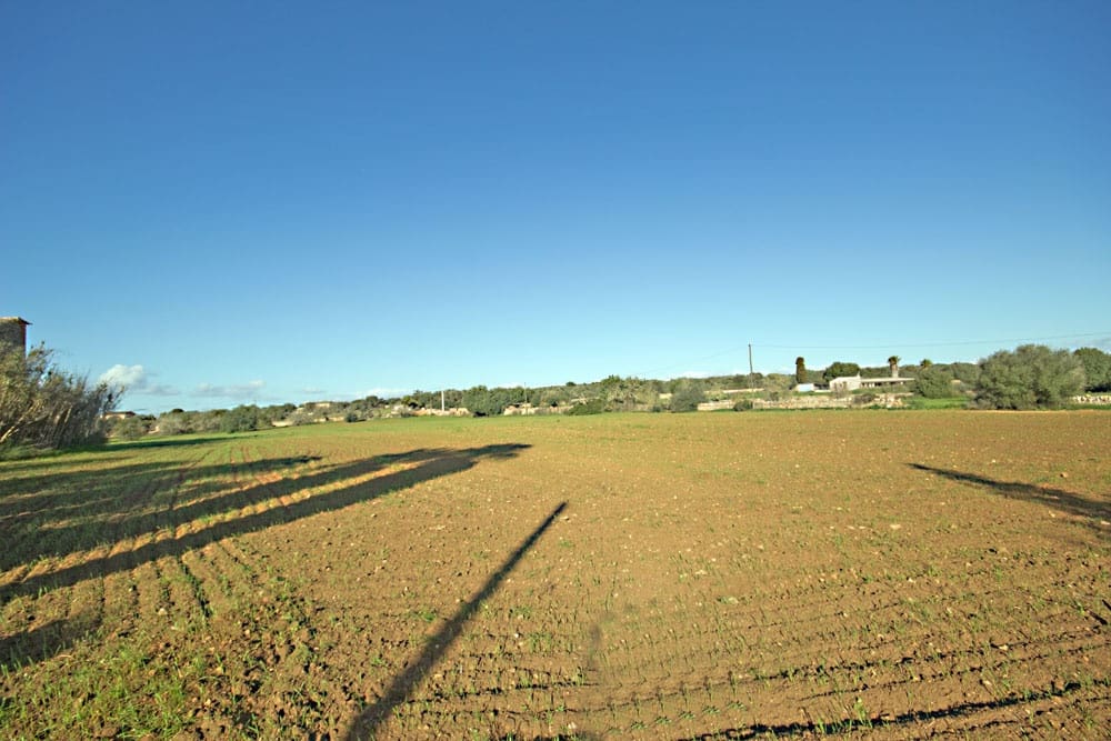 1 Zimmer Finca/Landgut zu verkaufen in Campos mit Garage - 1.100.000 € (Ref: 10136299)