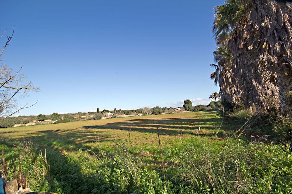 1 Zimmer Finca/Landgut zu verkaufen in Campos mit Garage - 1.100.000 € (Ref: 10136299)