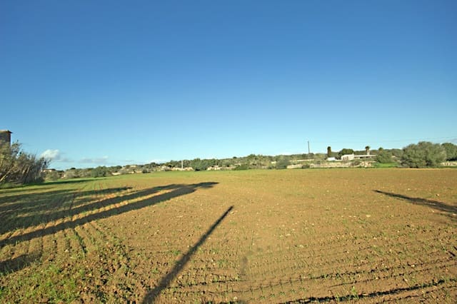 1 Zimmer Finca/Landgut zu verkaufen in Campos mit Garage - 1.100.000 € (Ref: 10136299)