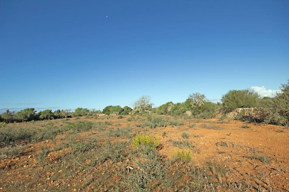 Landgrundstück zu verkaufen in Ses Salines - 550.000 € (Ref: 10136327)