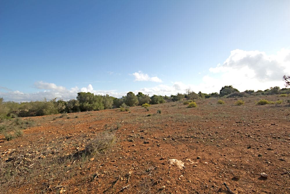 Landgrundstück zu verkaufen in Ses Salines - 550.000 € (Ref: 10136327)