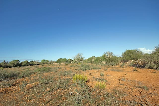 Landgrundstück zu verkaufen in Ses Salines - 550.000 € (Ref: 10136327)