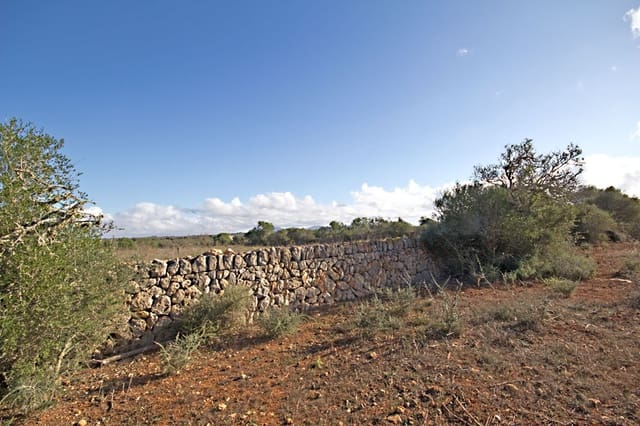 Landgrundstück zu verkaufen in Ses Salines - 550.000 € (Ref: 10136327)
