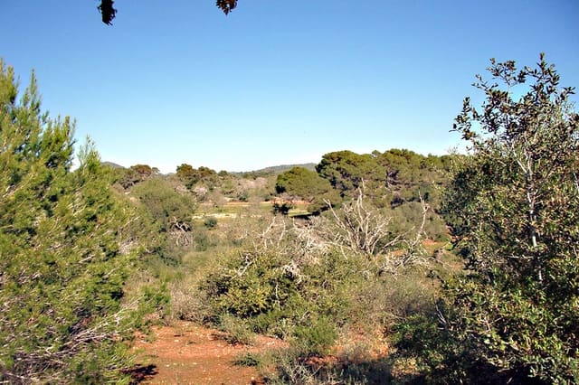 Landgrundstück zu verkaufen in Alqueria Blanca, Santanyí - 825.000 € (Ref: 10136333)