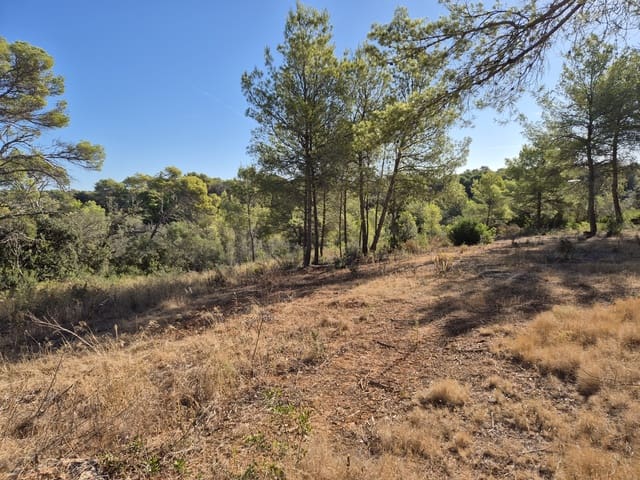 Landgrundstück zu verkaufen in Alqueria Blanca, Santanyí - 825.000 € (Ref: 10136333)