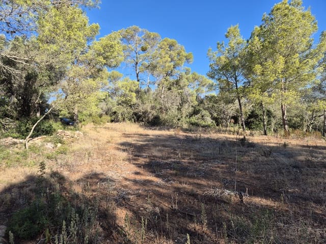 Landgrundstück zu verkaufen in Alqueria Blanca, Santanyí - 825.000 € (Ref: 10136333)