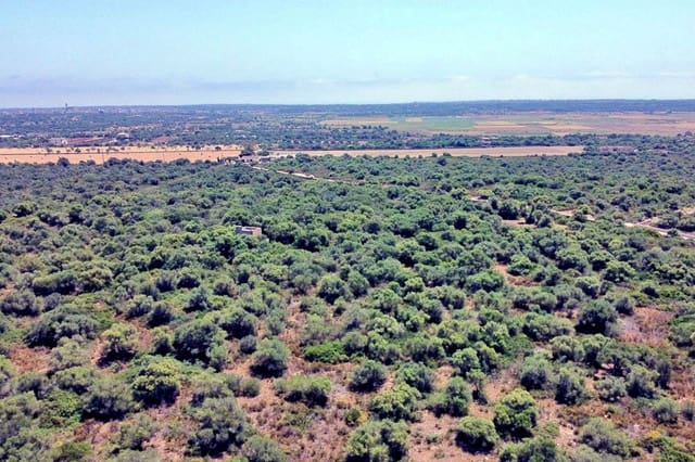 Landgrundstück zu verkaufen in Santanyí - 750.000 € (Ref: 10136368)