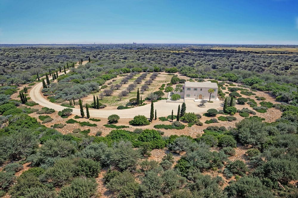 Undeveloped Land for sale in Santanyi - € 750,000 (Ref: 10136368)
