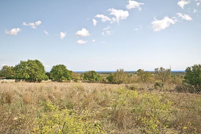Terreno Não Urbanizado para venda em Santanyí - 1 500 000 € (Ref: 10144999)