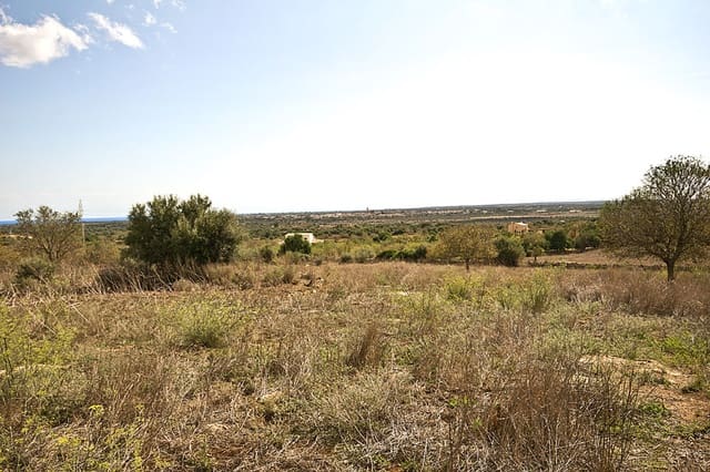 Terreno Não Urbanizado para venda em Santanyí - 1 500 000 € (Ref: 10144999)