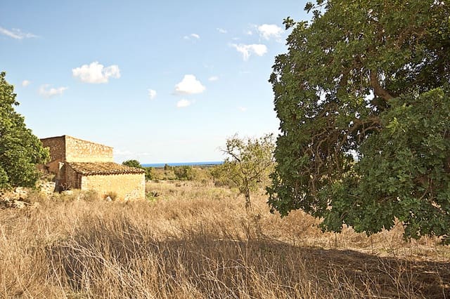 Terreno Não Urbanizado para venda em Santanyí - 1 500 000 € (Ref: 10144999)
