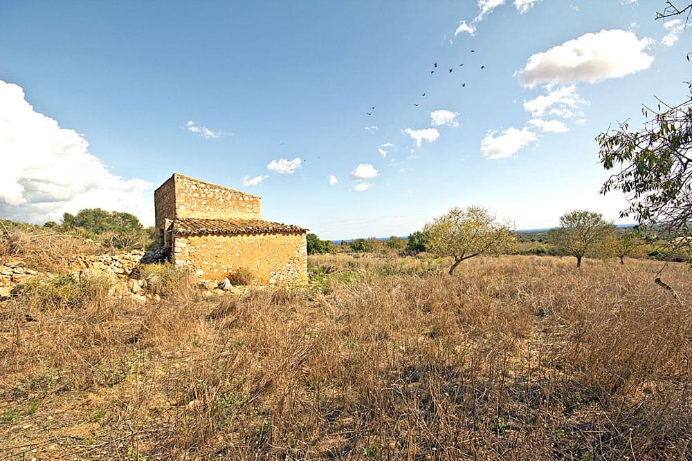 Teren niezagospodarowany na sprzedaż w Santanyi - 1 500 000 € (Ref: 10144999)
