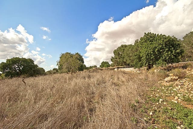 Terreno Não Urbanizado para venda em Santanyí - 1 500 000 € (Ref: 10144999)