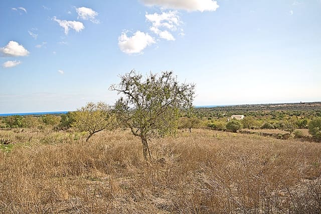 Terreno Não Urbanizado para venda em Santanyí - 1 500 000 € (Ref: 10144999)