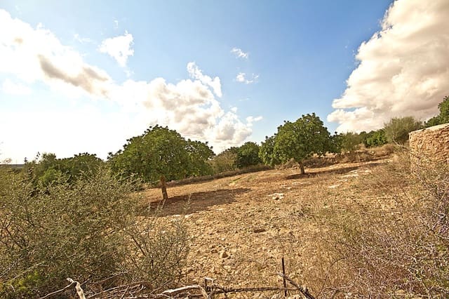 Terreno Não Urbanizado para venda em Santanyí - 1 500 000 € (Ref: 10144999)