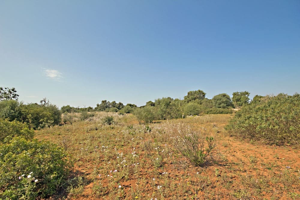 Terreno Non Edificato in vendita in Es Llombards - 550.000 € (Rif: 10149303)