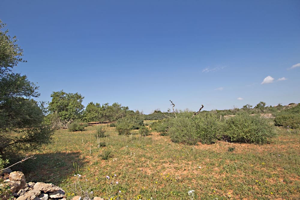 Terreno Non Edificato in vendita in Es Llombards - 550.000 € (Rif: 10149303)