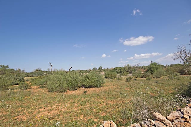 Terreno Non Edificato in vendita in Es Llombards, Santanyí - 550.000 € (Rif: 10149303)