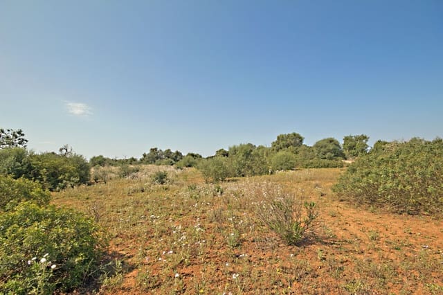 Terreno Non Edificato in vendita in Es Llombards, Santanyí - 550.000 € (Rif: 10149303)