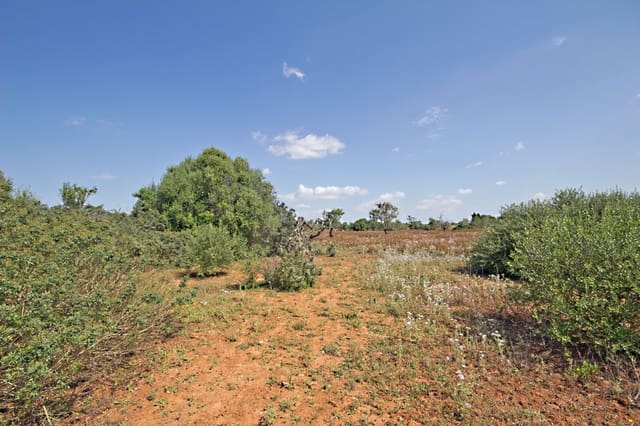 Terreno Non Edificato in vendita in Es Llombards, Santanyí - 550.000 € (Rif: 10149303)