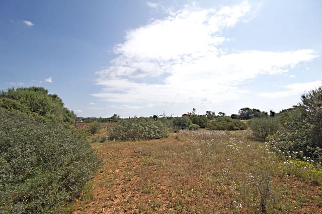 Terreno Non Edificato in vendita in Es Llombards, Santanyí - 550.000 € (Rif: 10149303)
