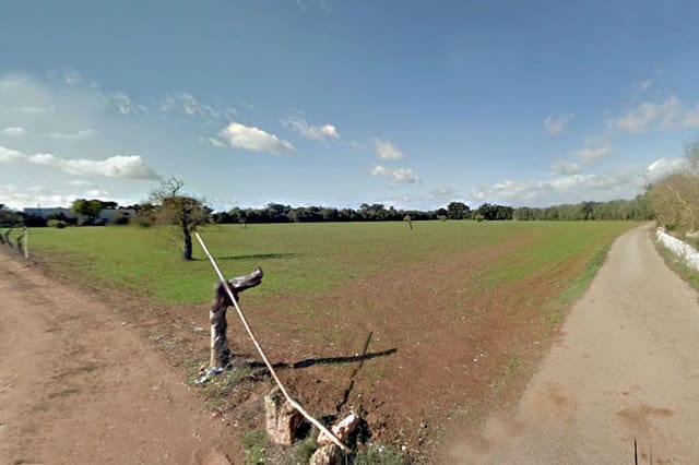 Ubebygd land til salgs i Campos - € 395 000 (Ref: 10153173)