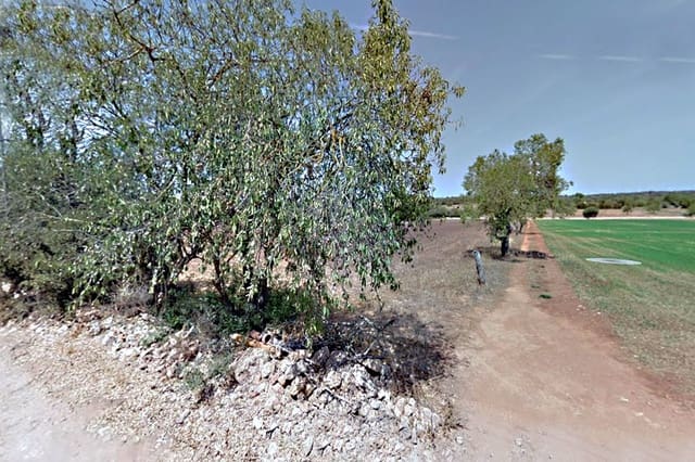 Ubebygd land til salgs i Campos - € 395 000 (Ref: 10153173)