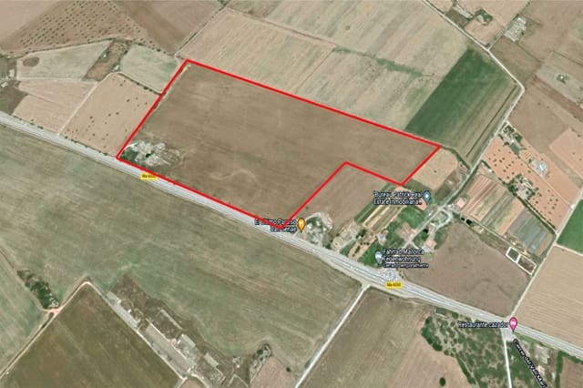 Terreno Non Edificato in vendita in Sa Rapita / La Rapita, Campos - 1.150.000 € (Rif: 10163218)