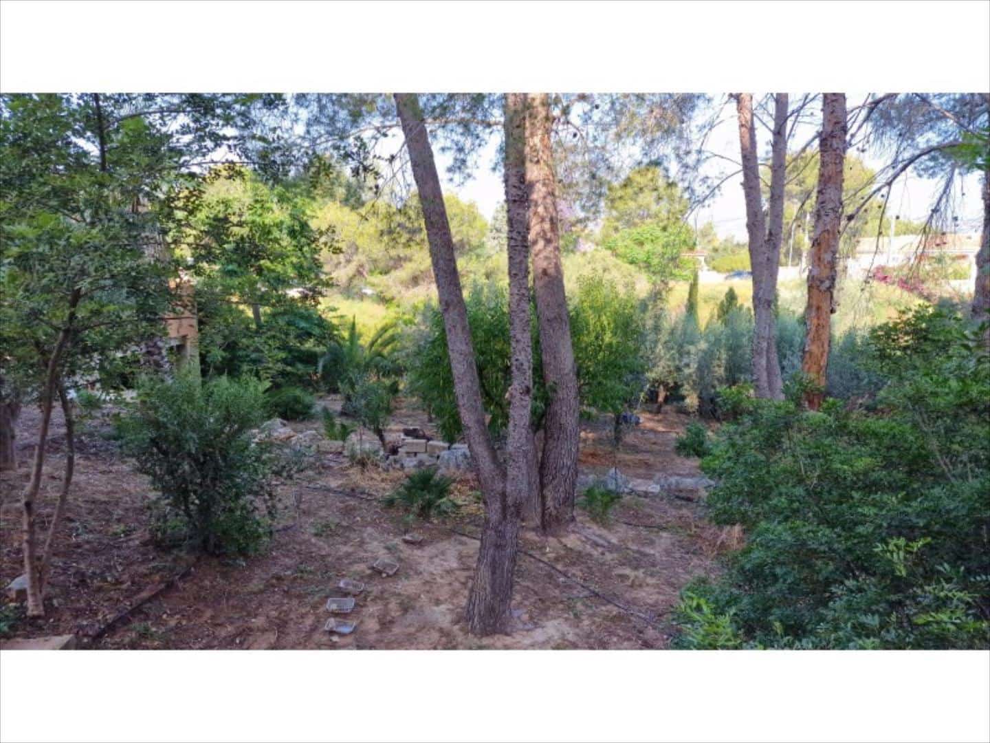 4 bedroom Villa for sale in Alberic - € 290,000 (Ref: 9505961)