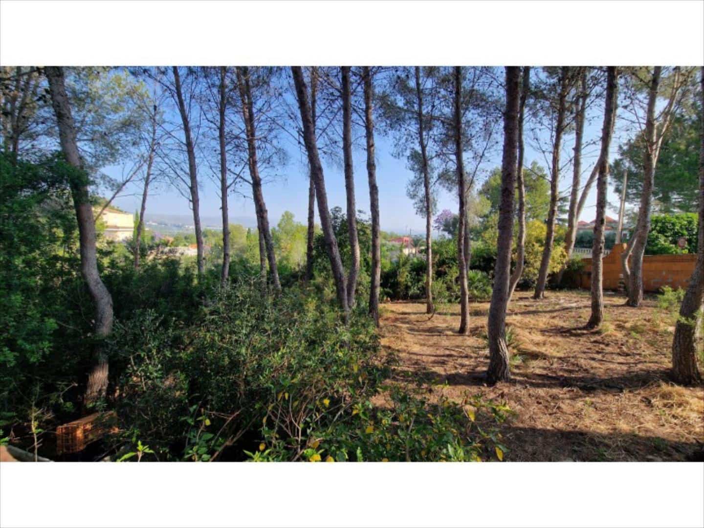 4 bedroom Villa for sale in Alberic - € 290,000 (Ref: 9505961)