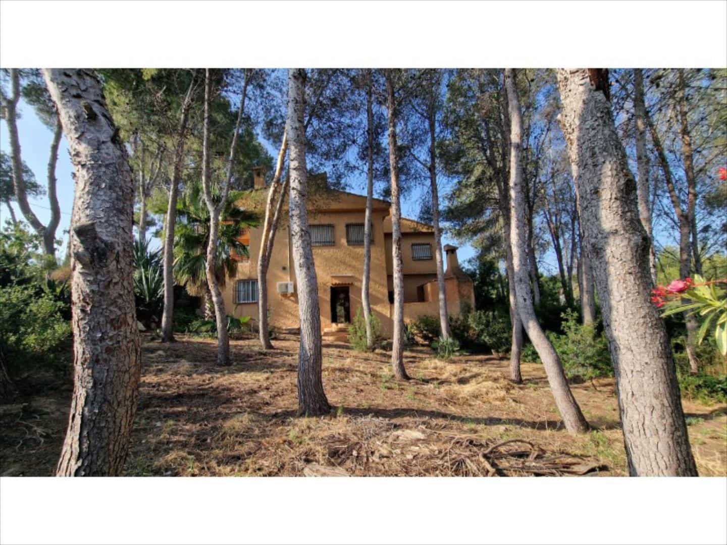 4 bedroom Villa for sale in Alberic - € 290,000 (Ref: 9505961)