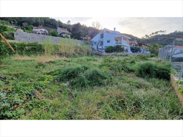 Bouwgrond te koop in Barraca d'Aigues Vives, Carcaixent - € 90.000 (Ref: 9505965)