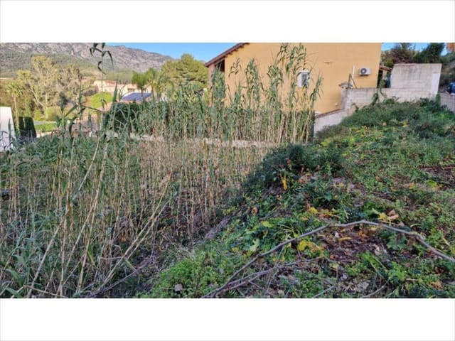 Bouwgrond te koop in Barraca d'Aigues Vives, Carcaixent - € 90.000 (Ref: 9505965)