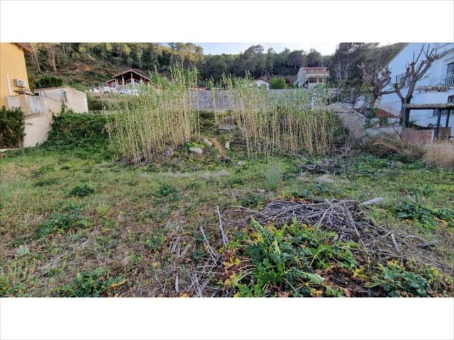 Bouwgrond te koop in Barraca d'Aigues Vives, Carcaixent - € 90.000 (Ref: 9505965)