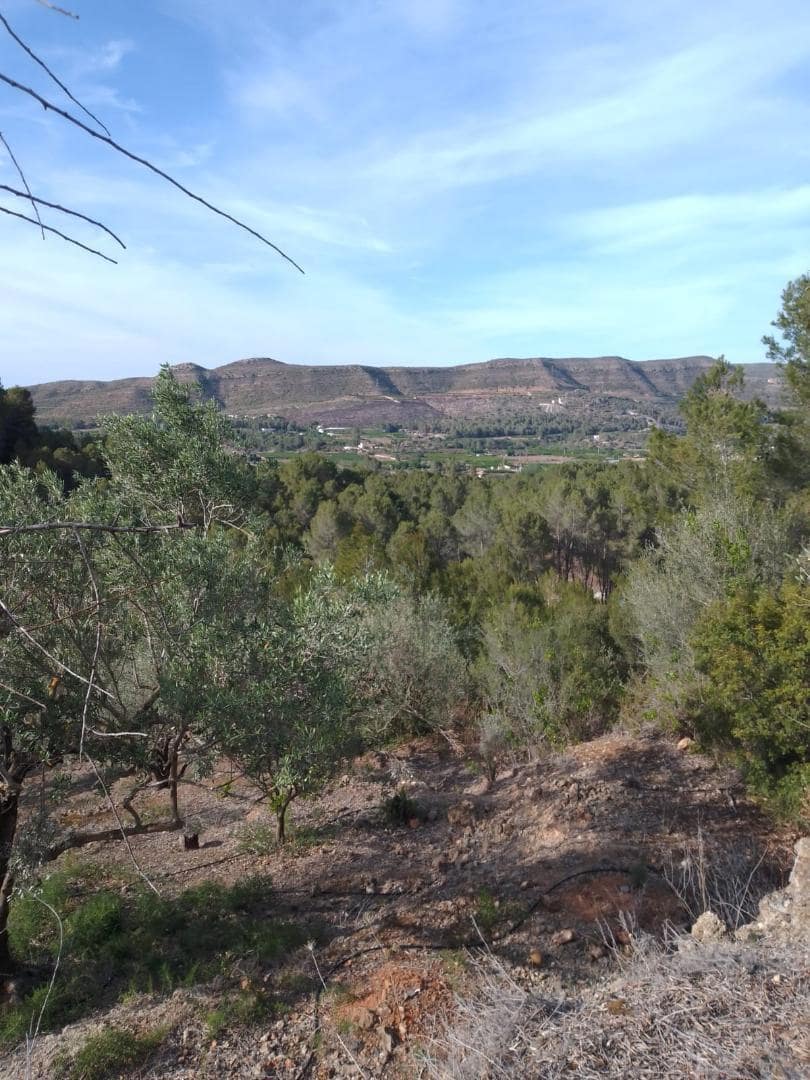 Finca/Country House for sale in Barxeta - € 70,000 (Ref: 9505966)