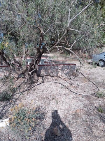 Finca/Country House for sale in Barxeta - € 70,000 (Ref: 9505966)