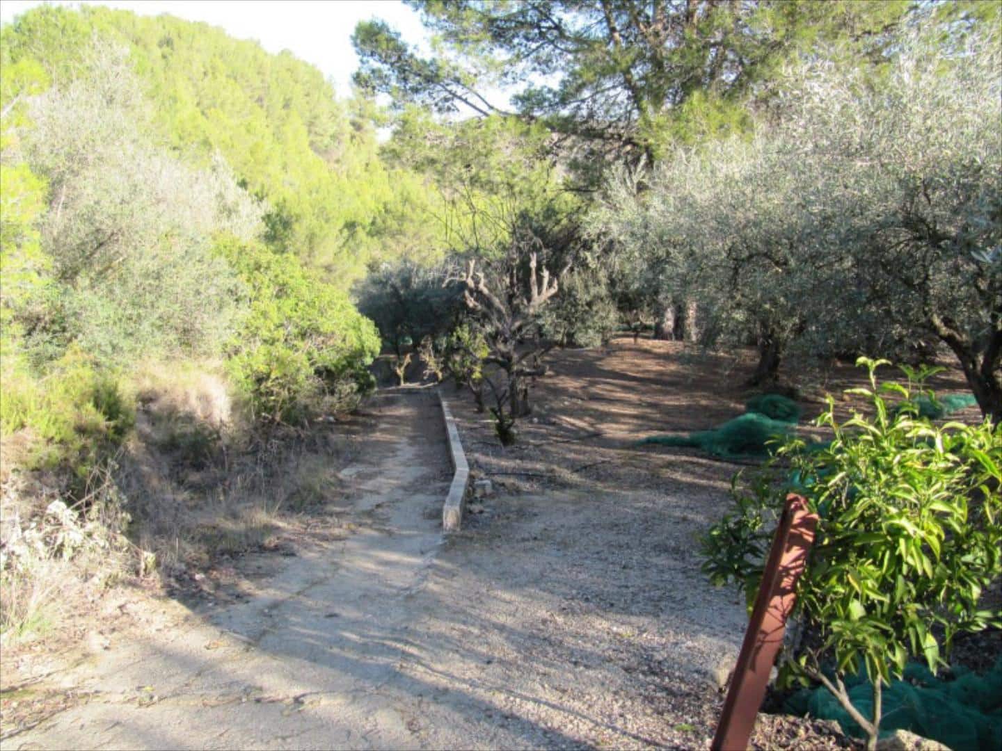 Finca/Country House for sale in Barxeta - € 70,000 (Ref: 9505966)