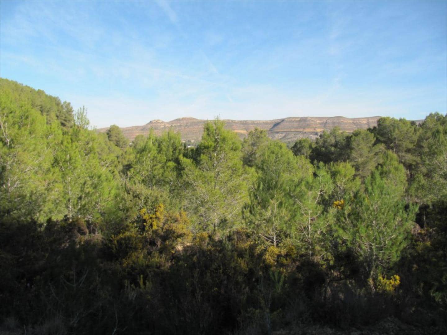 Finca/Country House for sale in Barxeta - € 70,000 (Ref: 9505966)