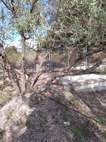 Finca/Country House for sale in Barxeta - € 70,000 (Ref: 9505966)