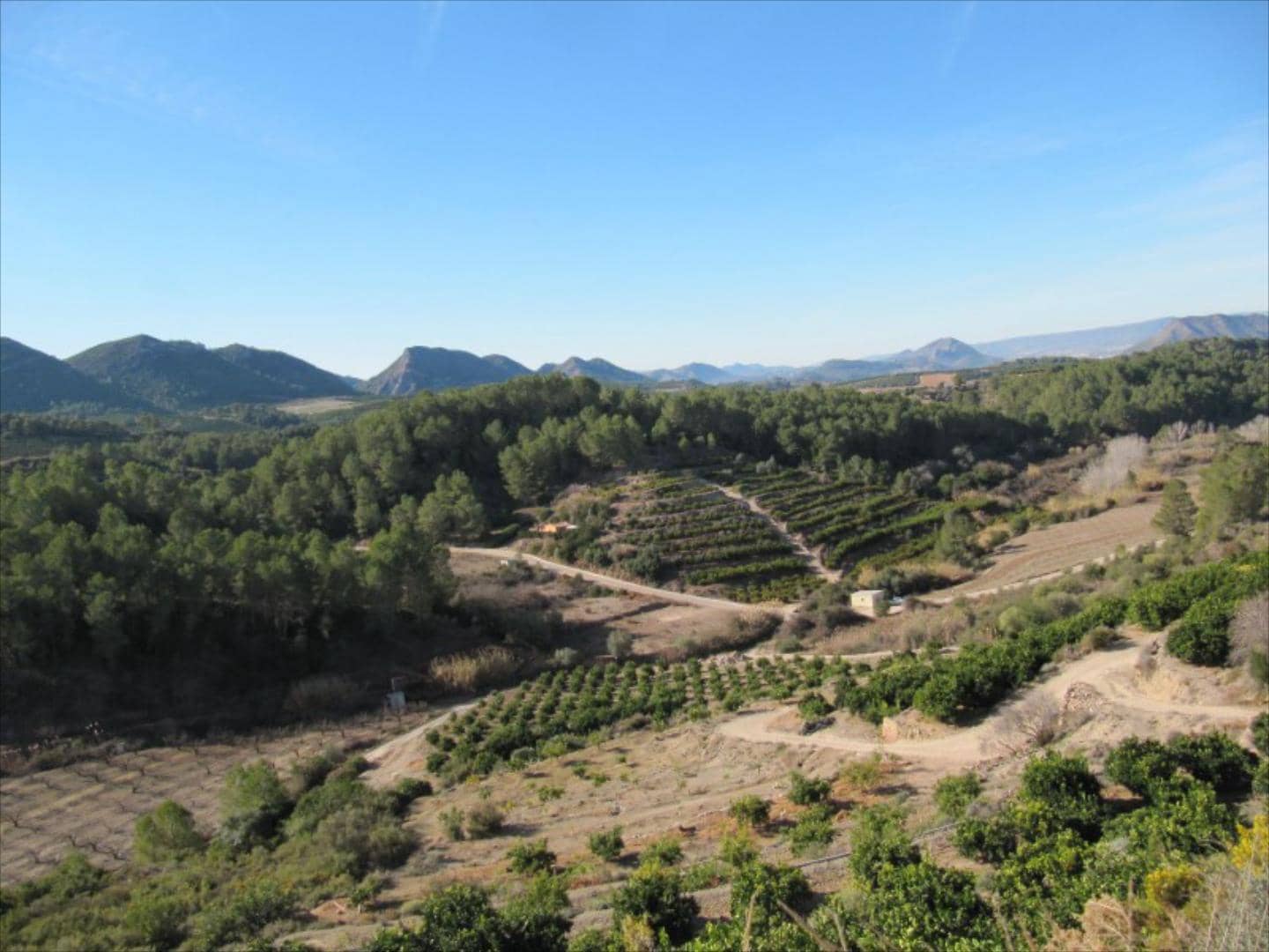 Finca/Country House for sale in Barxeta - € 70,000 (Ref: 9505966)