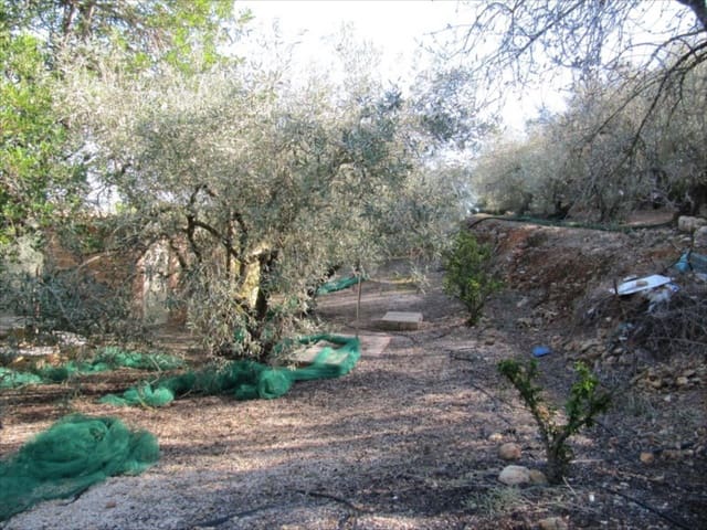 Finca/Country House for sale in Barxeta - € 70,000 (Ref: 9505966)