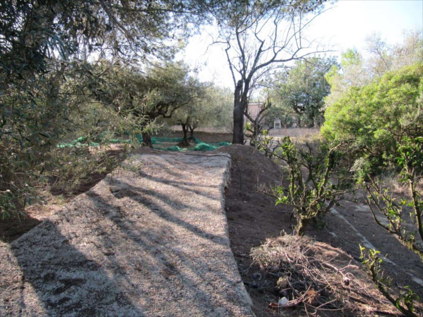 Finca/Country House for sale in Barxeta - € 70,000 (Ref: 9505966)