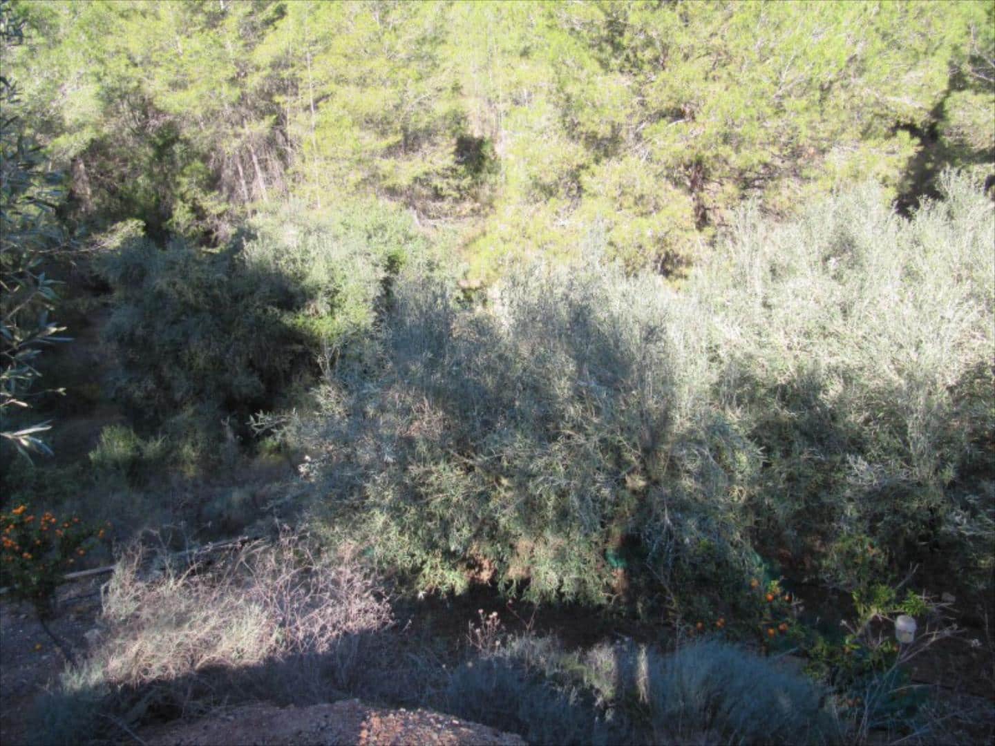 Finca/Country House for sale in Barxeta - € 70,000 (Ref: 9505966)