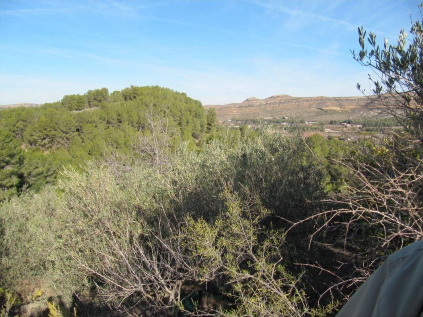 Finca/Country House for sale in Barxeta - € 70,000 (Ref: 9505966)